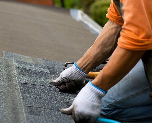 Best Roof Gutter Cleaning  in Gwinn, MI